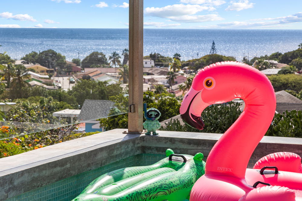 Villa Scoop Rental View